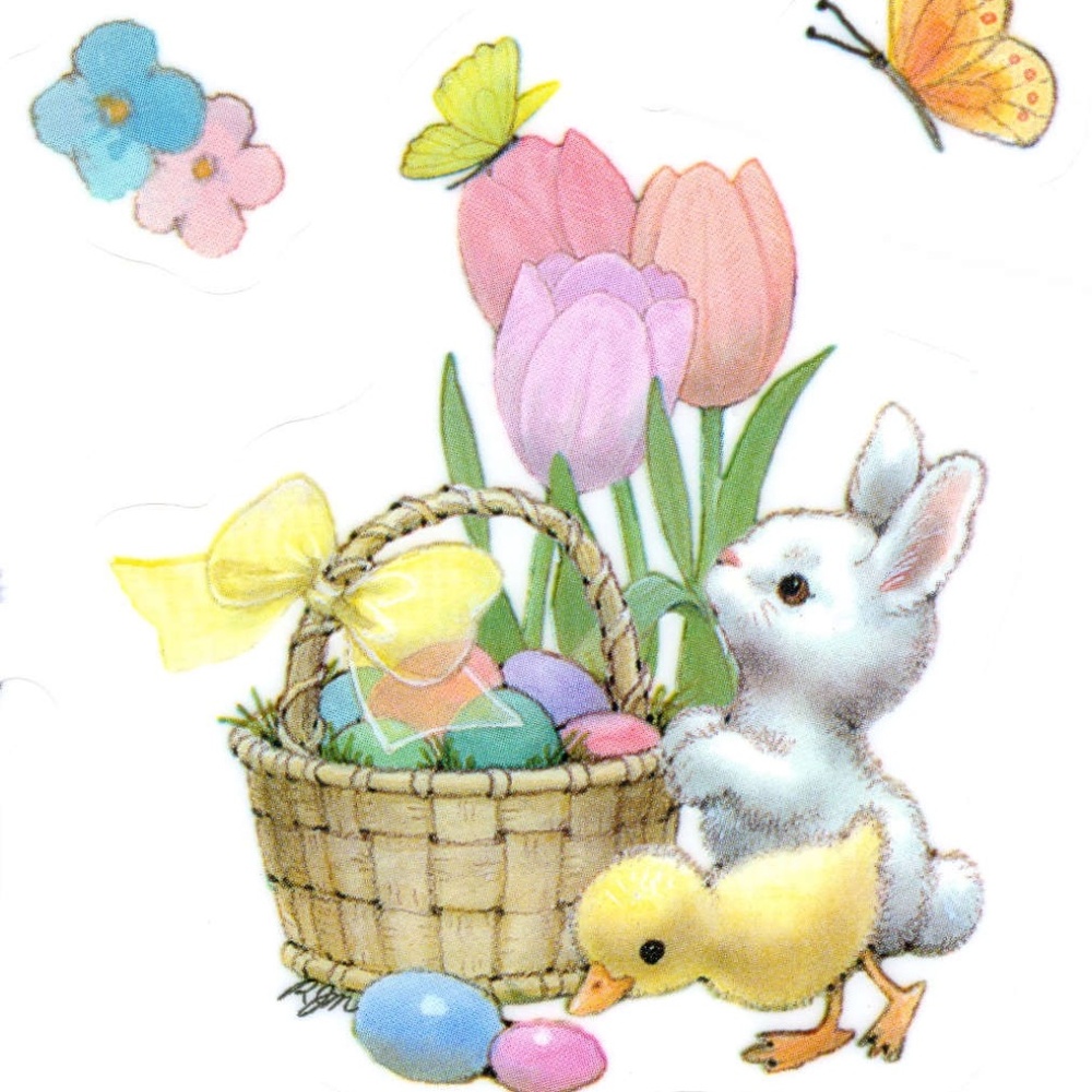 🩷Cute Picture of the Day!🩷